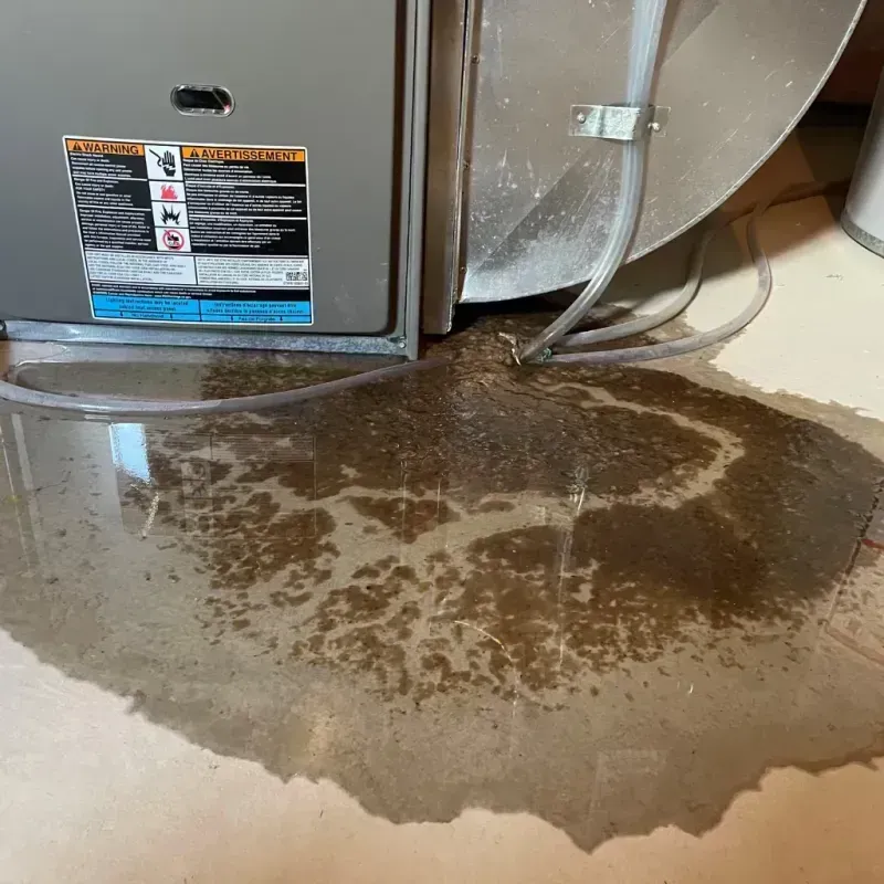 Appliance Leak Cleanup in Meyersdale, PA